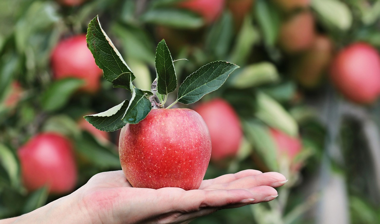 15% off apple picks 15% off apple picks
