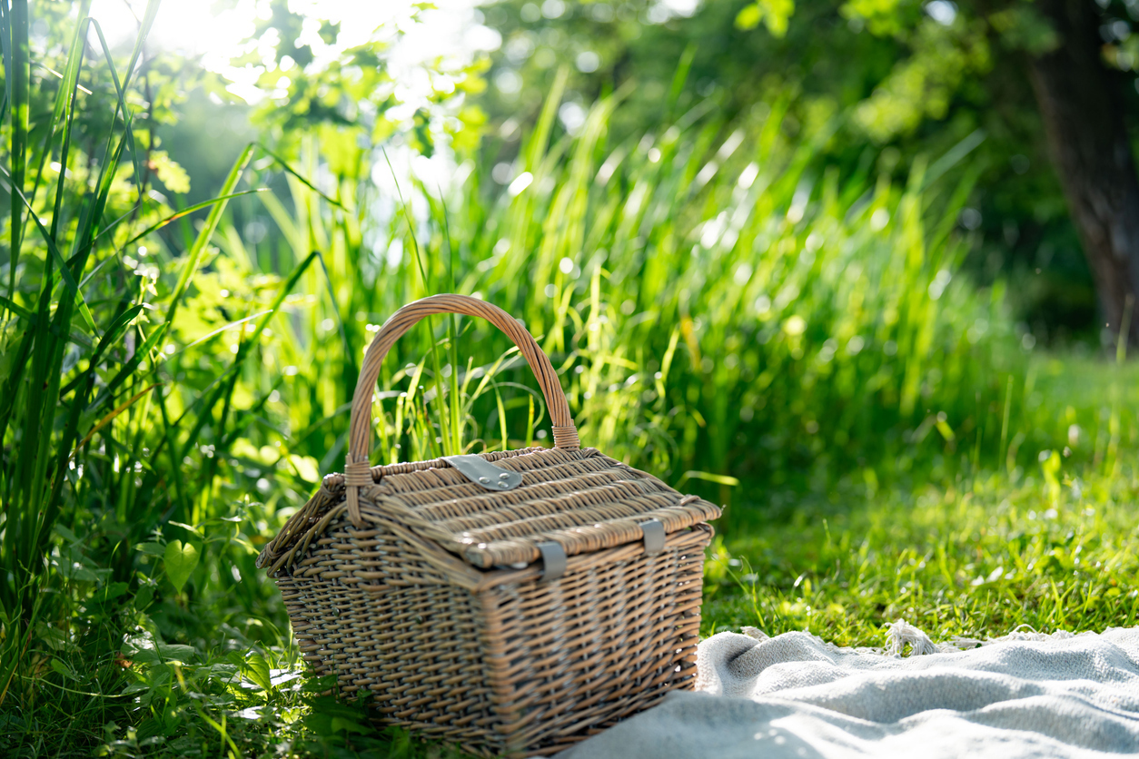 French Picnic Favorites French Picnic Favorites